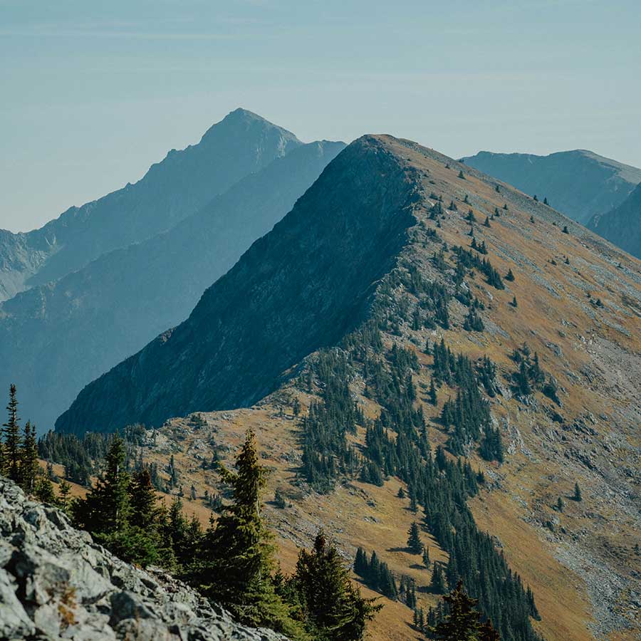 Rugged mountain ridge with alpine trees in British Columbia, reflecting the natural beauty that inspires Smith Timber Works’ designs.