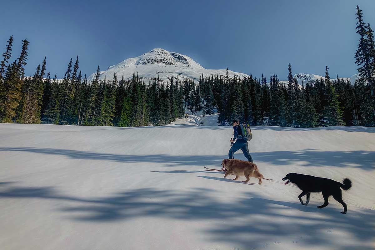 Person hiking with two dogs through snowy alpine terrain in British Columbia, reflecting the rugged, nature-connected lifestyle of Smith Timber Works.