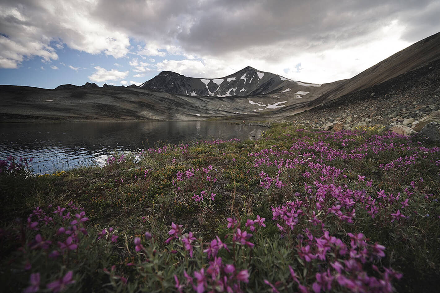 Alpine wildflowers in bloom near a mountain lake in British Columbia, reflecting the natural landscapes that inspire Smith Timber Works’ design philosophy.