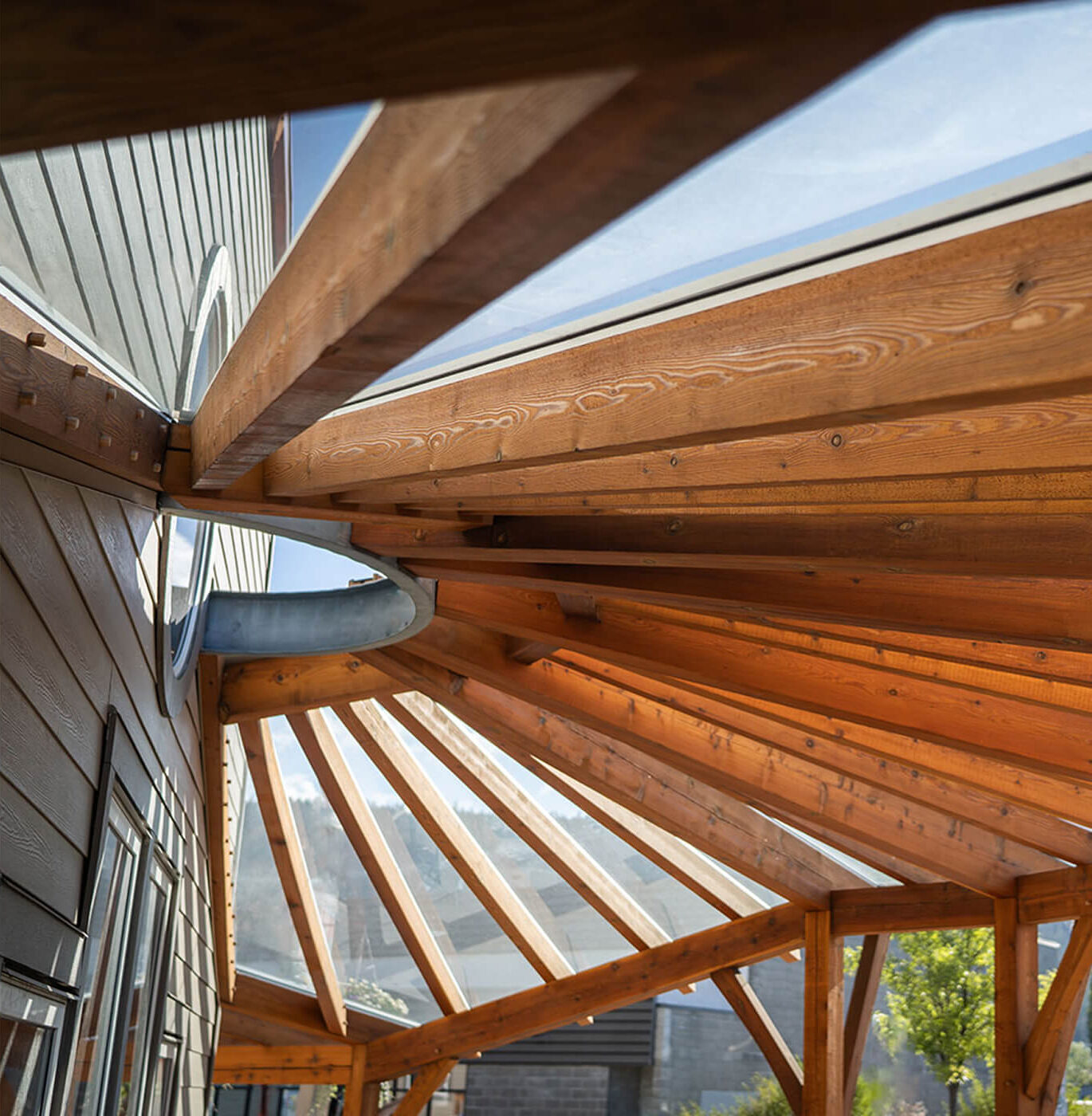 Radiating timber beam canopy structure with skylights, demonstrating Smith Timber Works’ expertise in architectural timber design.